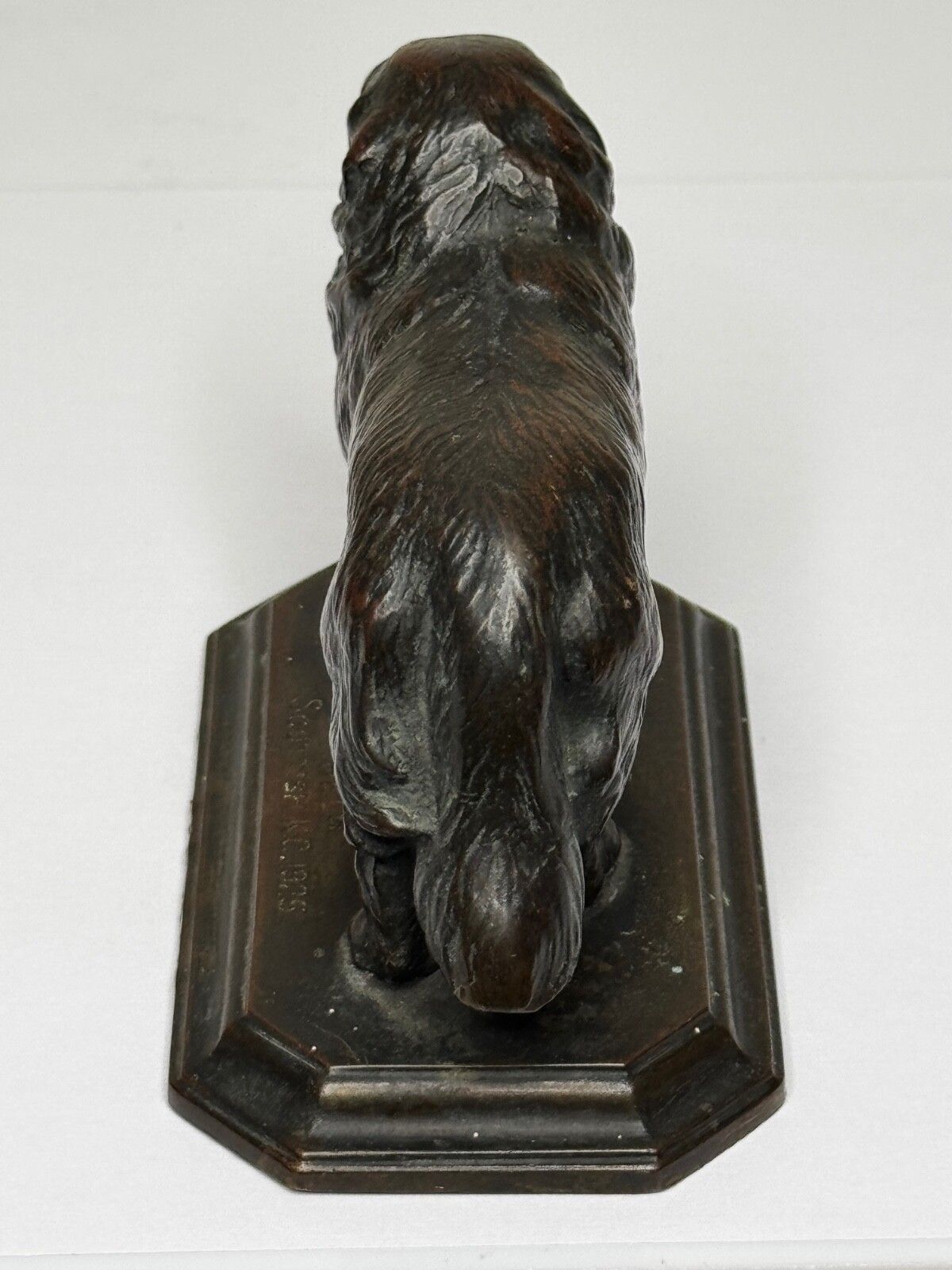 Kunst Antiek Schots Kennel Club Association Newfoundland hond bronzen sculptuur photo