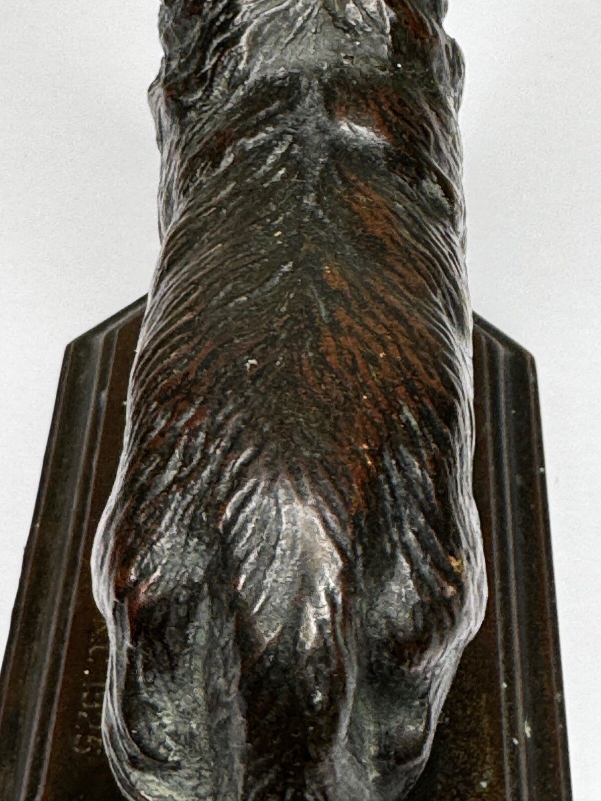 photo buy Antiek Schots Kennel Club Association Newfoundland hond bronzen sculptuur