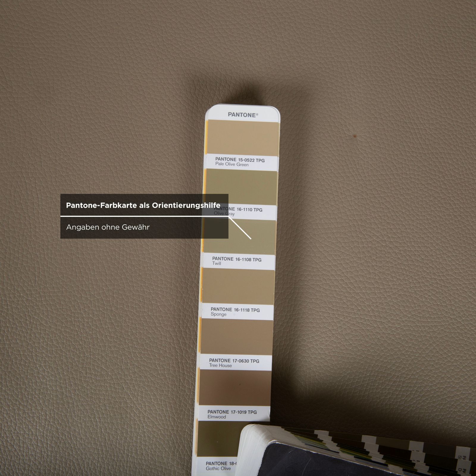 Canapé 2 places Walter Knoll Jaan en cuir chromé, crème beige photo buy