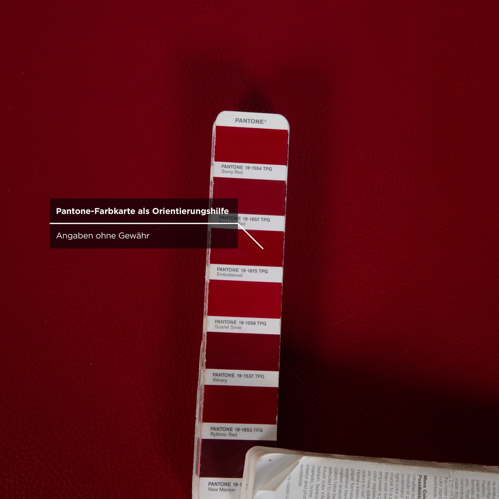 Willi Schillig Leren Poef Rood photo buy