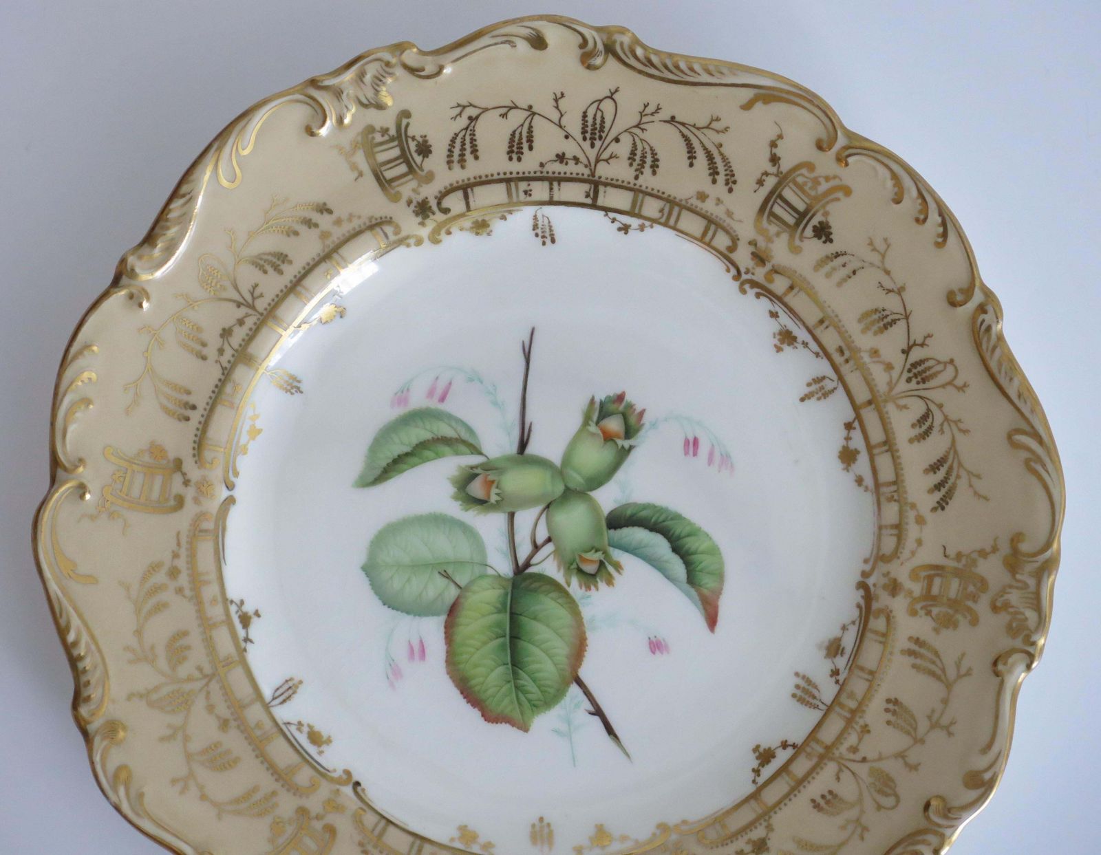 Antique H&R Daniel Botanical Plate, Hand Painted Porcelain, Circa 1830. photo for sale
