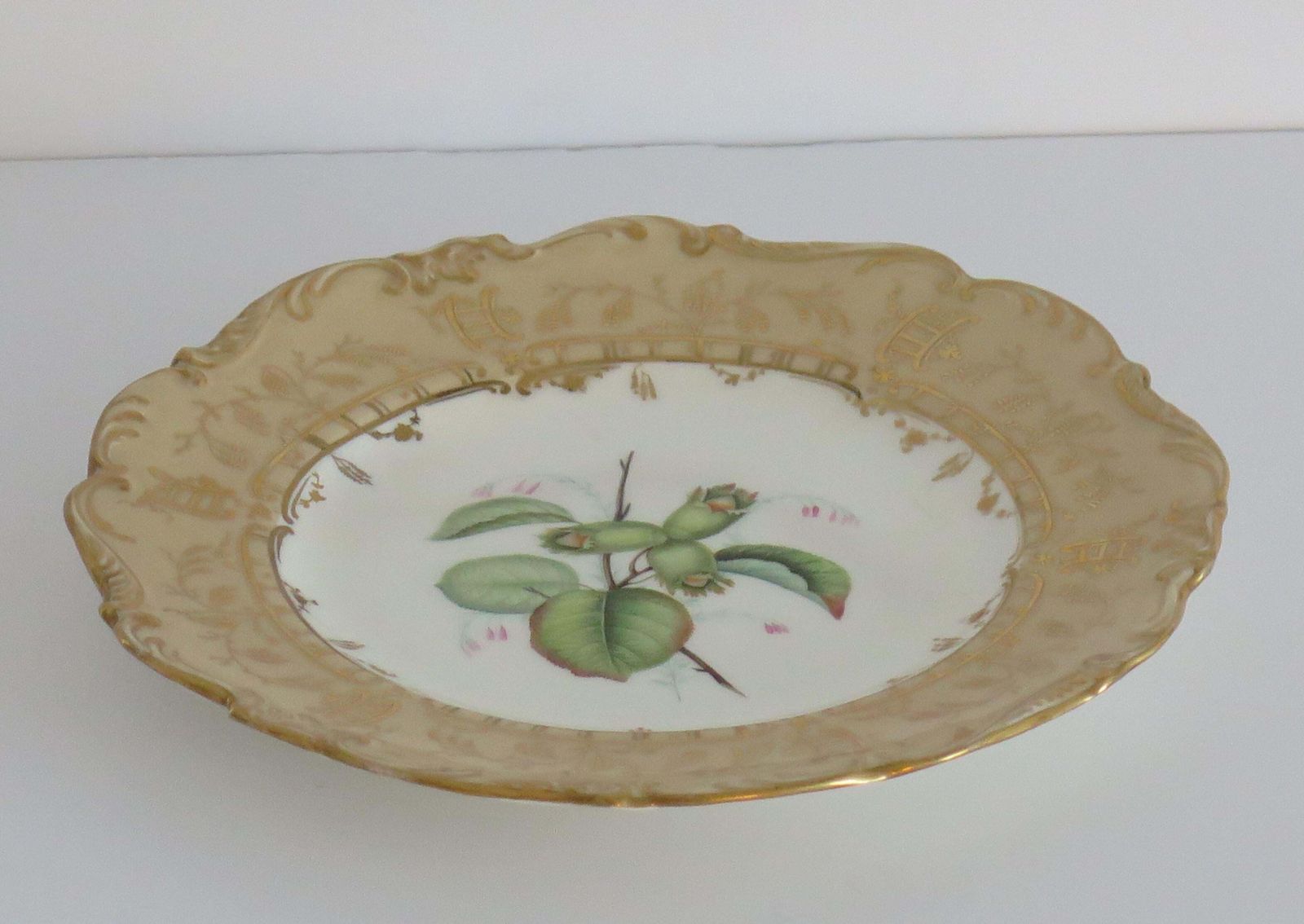 Antiek botanisch bord H&R Daniel, handgeschilderd porselein, ca. 1830. photo buy