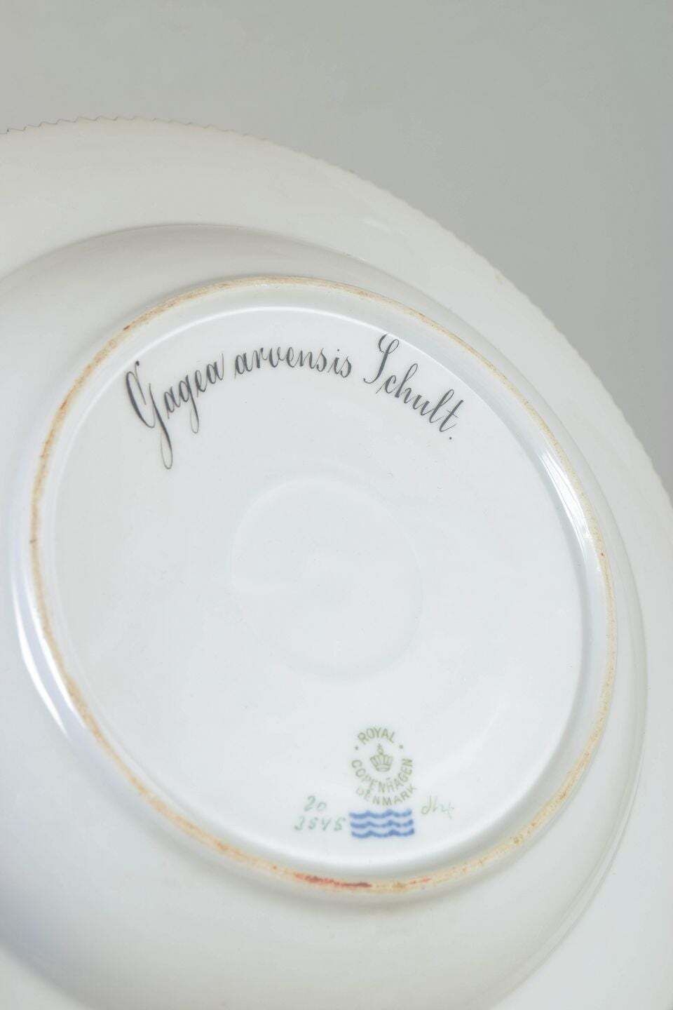 Royal Copenhagen. Flora Danica Porseleinen Dinerbord. Gedateerd 1945 photo 979.0
