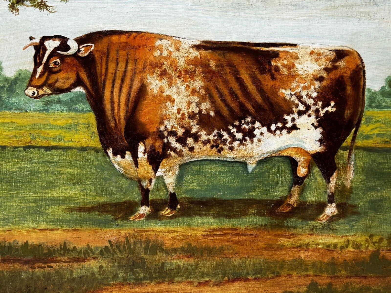 Victorian Prized Shorthorn Bull Oil Painting British School Manner William Ward photo for sale