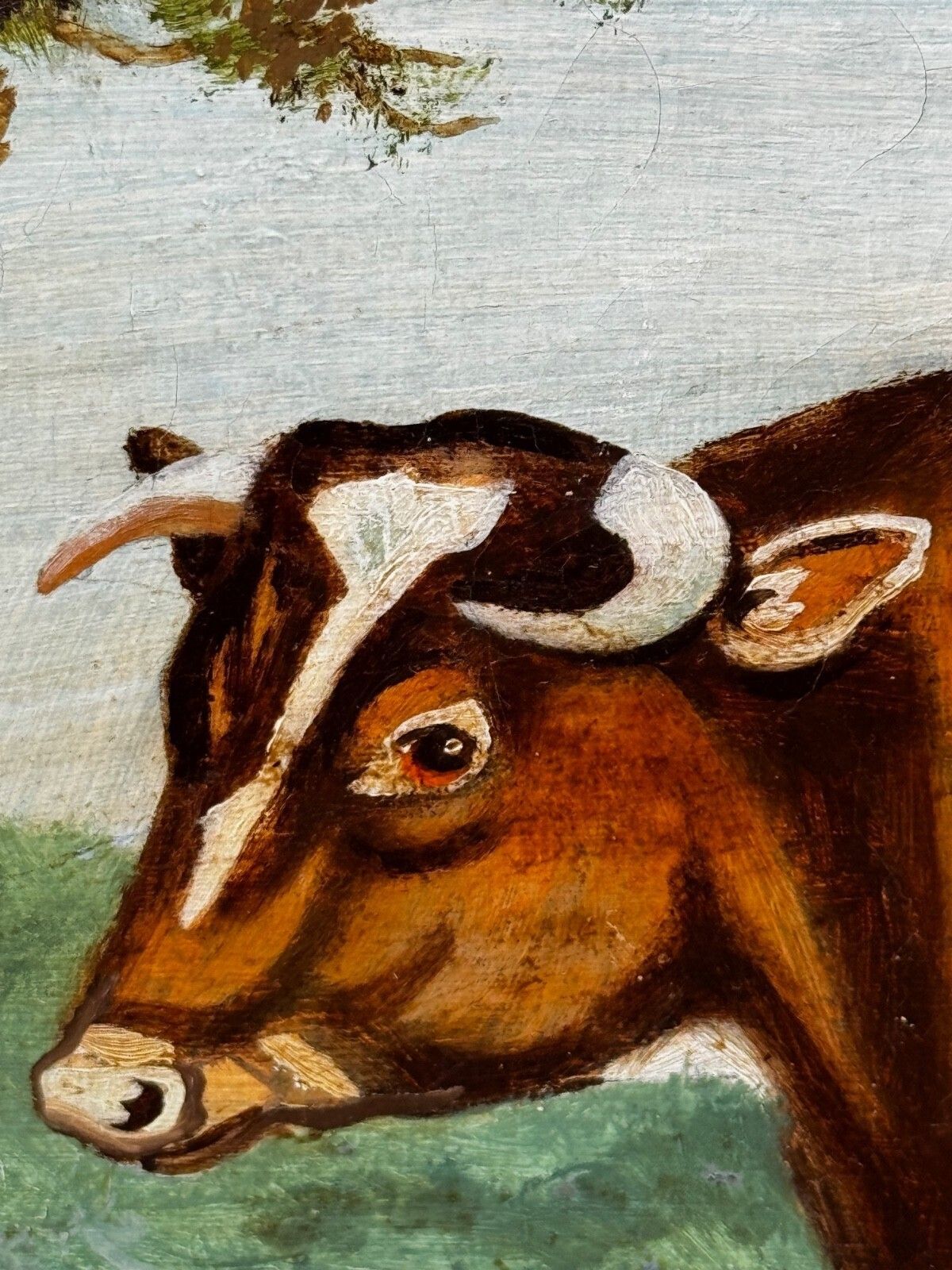 photo buy Victorian Prized Shorthorn Bull Oil Painting British School Manner William Ward