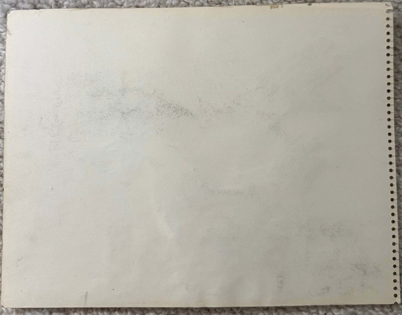Étude animalière moderniste française, coq, gouache photo Art