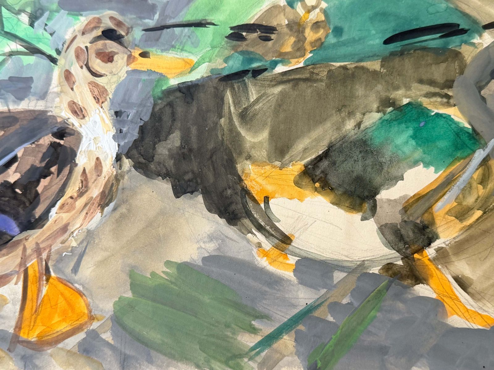 Canards colverts au bord de l'eau, étude animalière moderniste française à la gouache photo Art