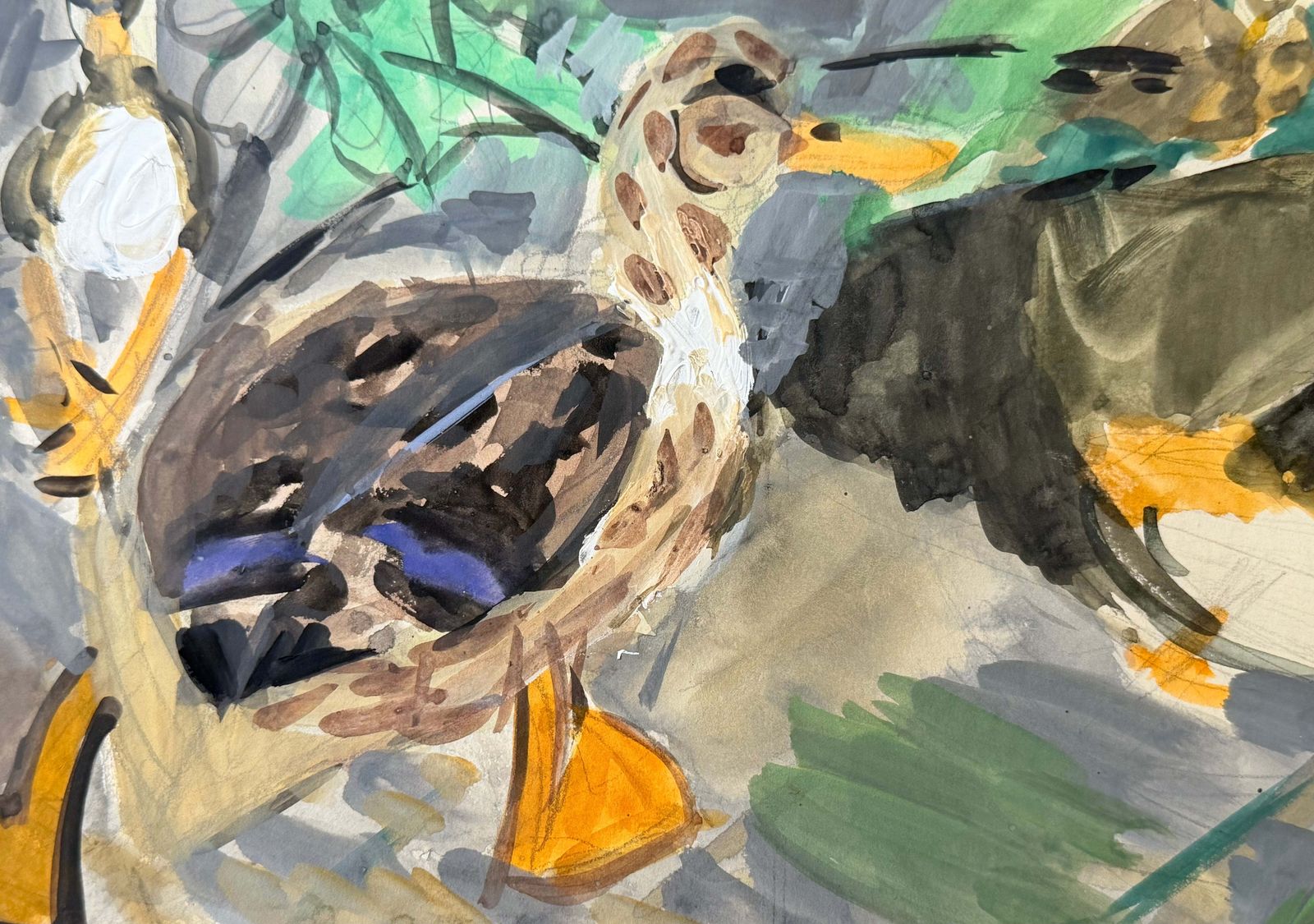 Canards colverts au bord de l'eau, étude animalière moderniste française à la gouache photo 326.0