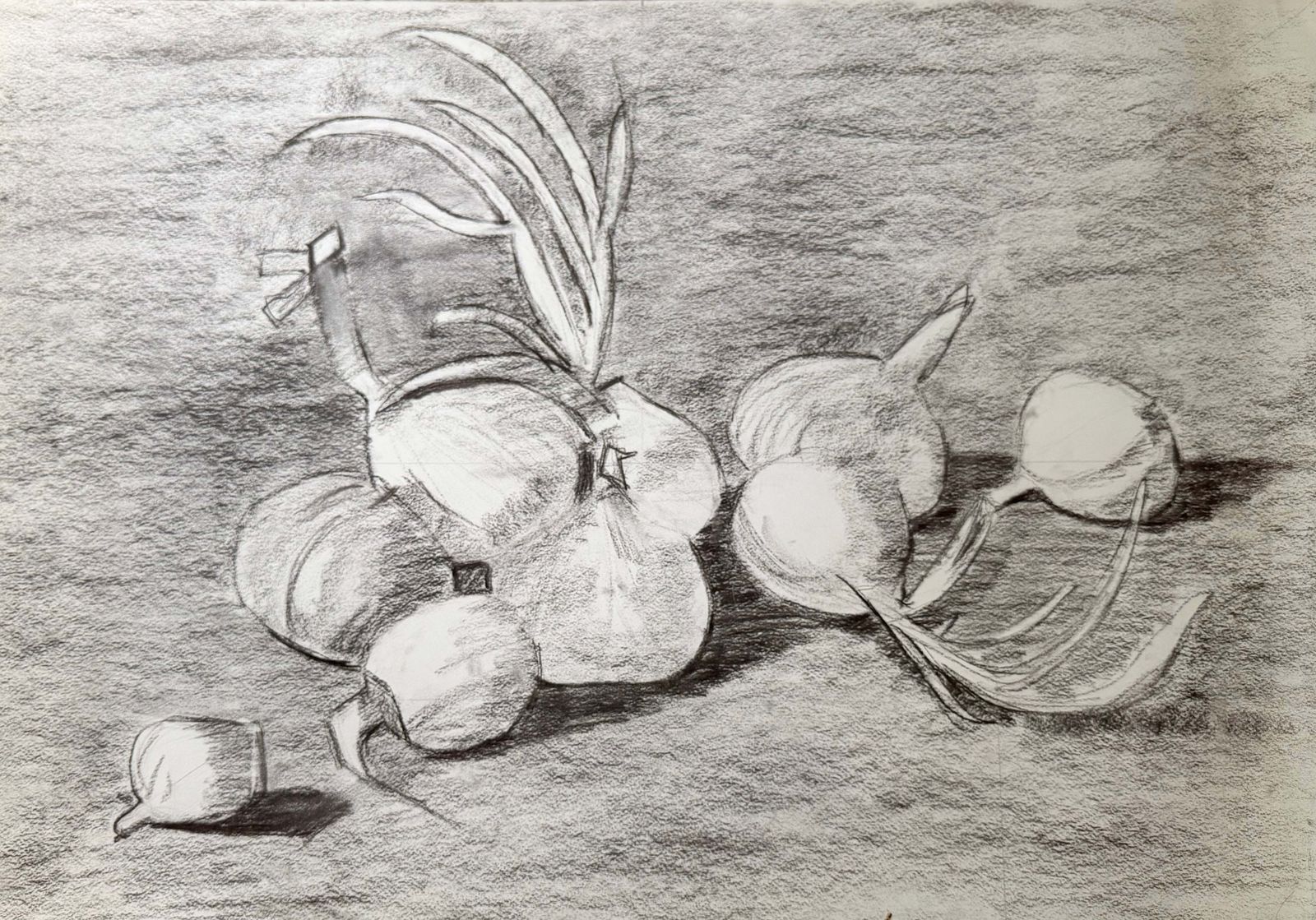 Nature morte aux oignons, dessin moderniste français au fusain et crayon, années 1950
