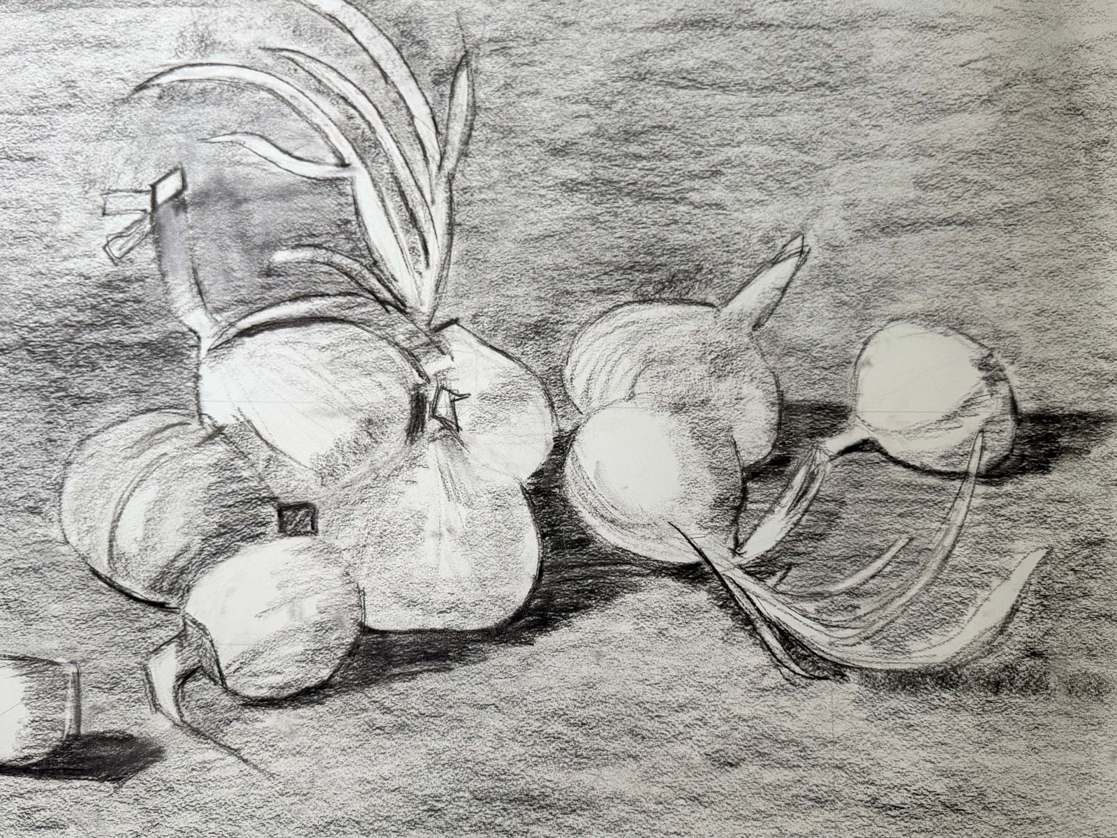Nature morte aux oignons, dessin moderniste français au fusain et crayon, années 1950 photo for sale