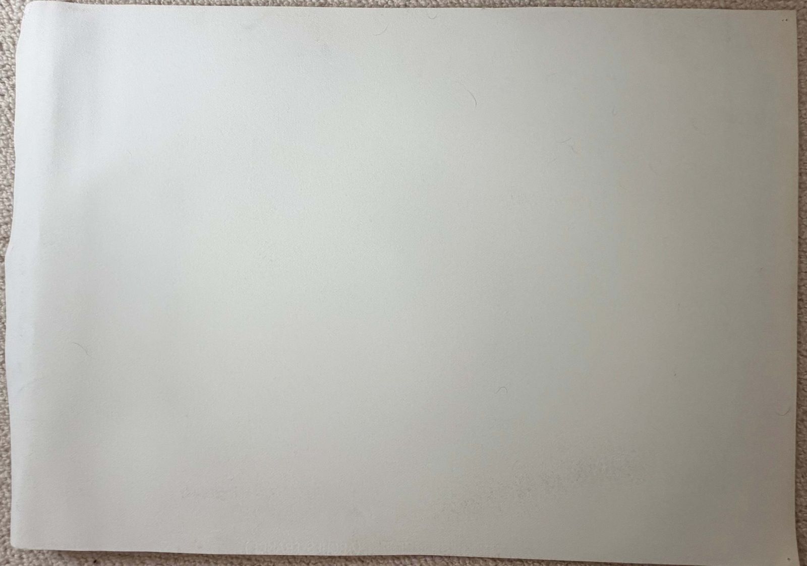 Nature morte aux oignons, dessin moderniste français au fusain et crayon, années 1950 photo buy