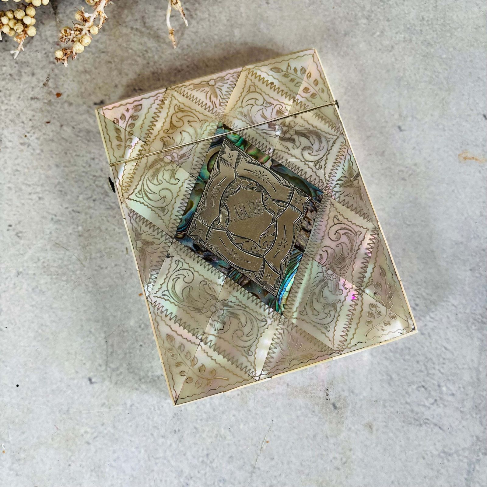 Victorian Mother Of Pearl And Sterling Silver Card Case photo Home Decor