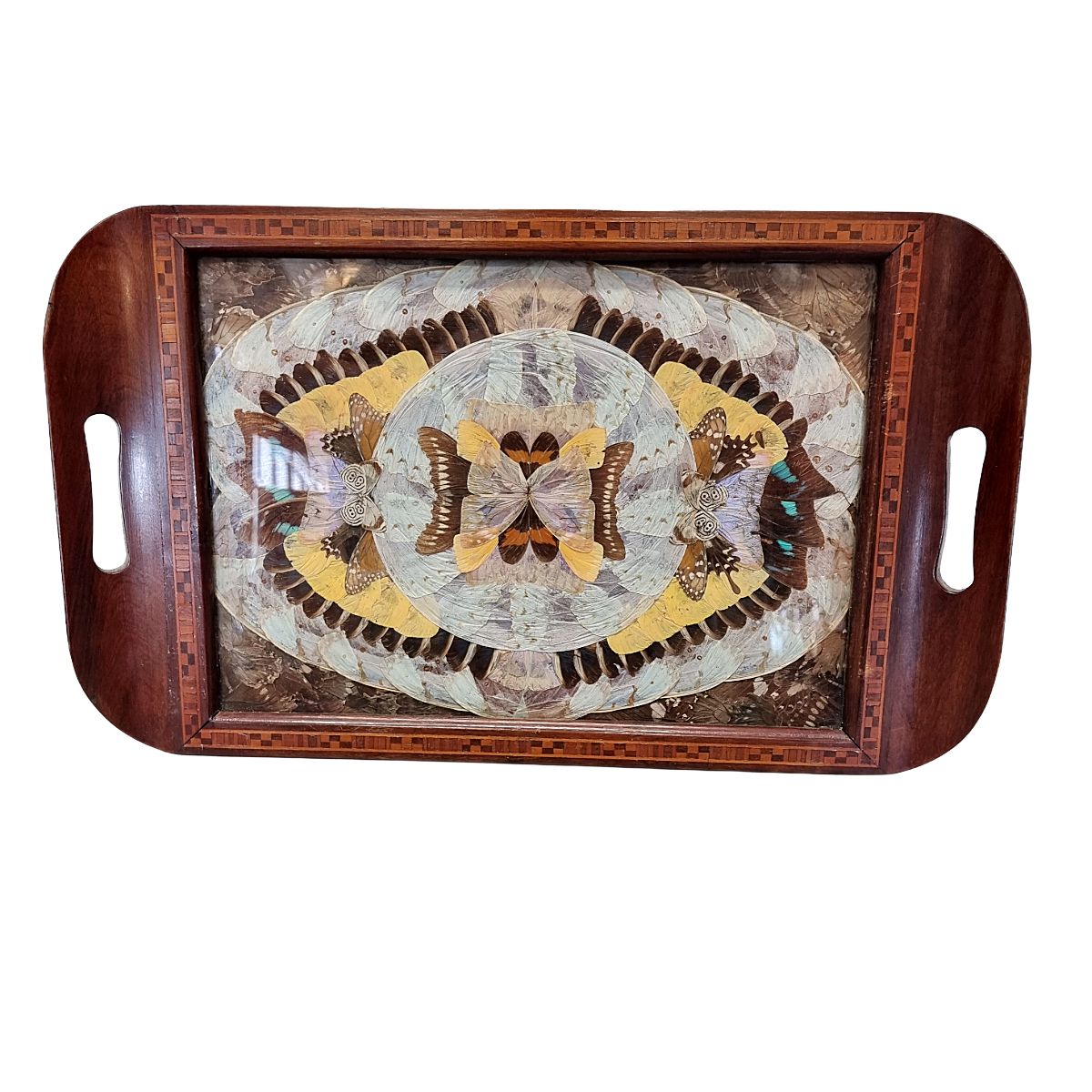 Antiek art deco dienblad met echte vlindersvleugels