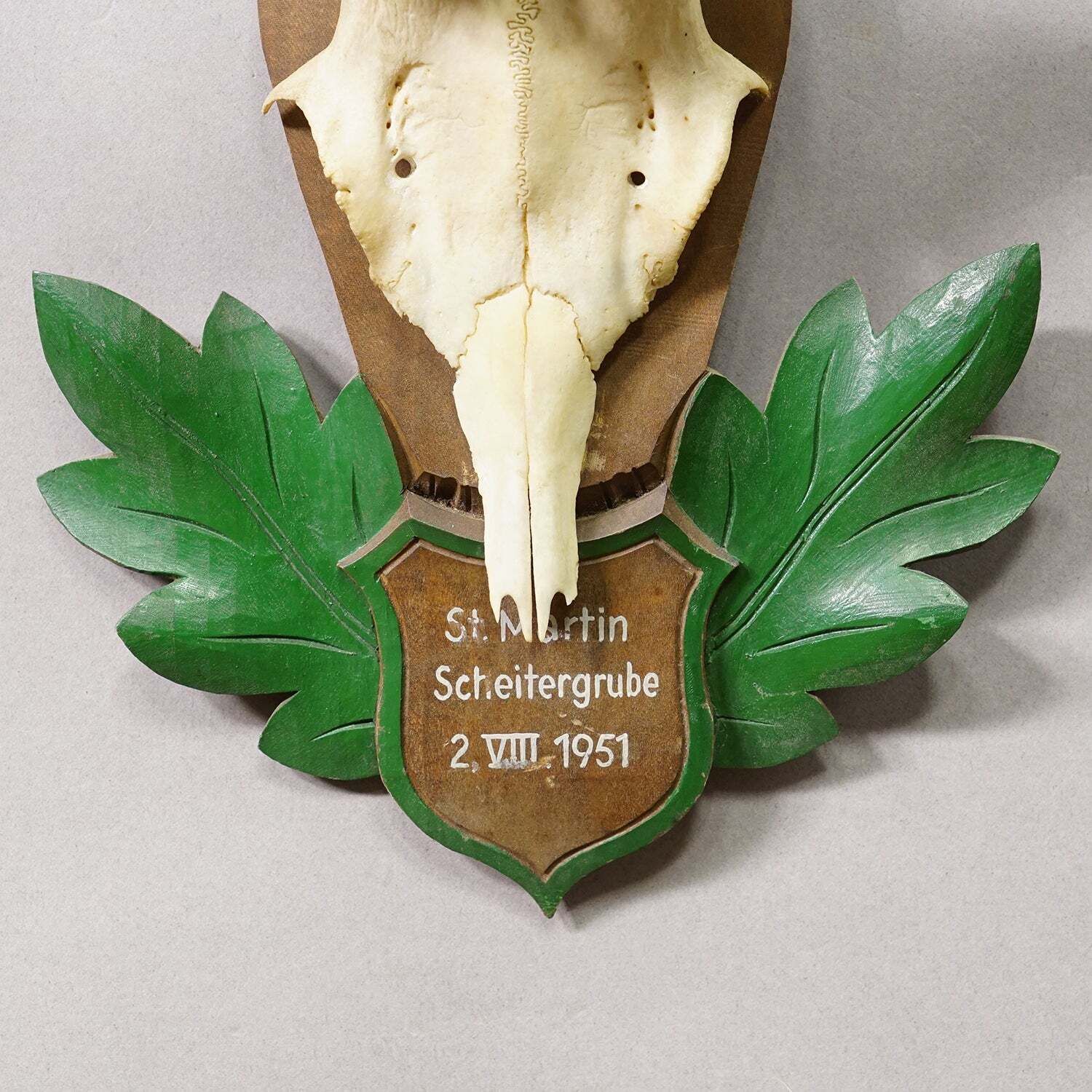Great Black Forest Red Deer Trophy On Carved Plaque   Germany 1951 photo Home Decor