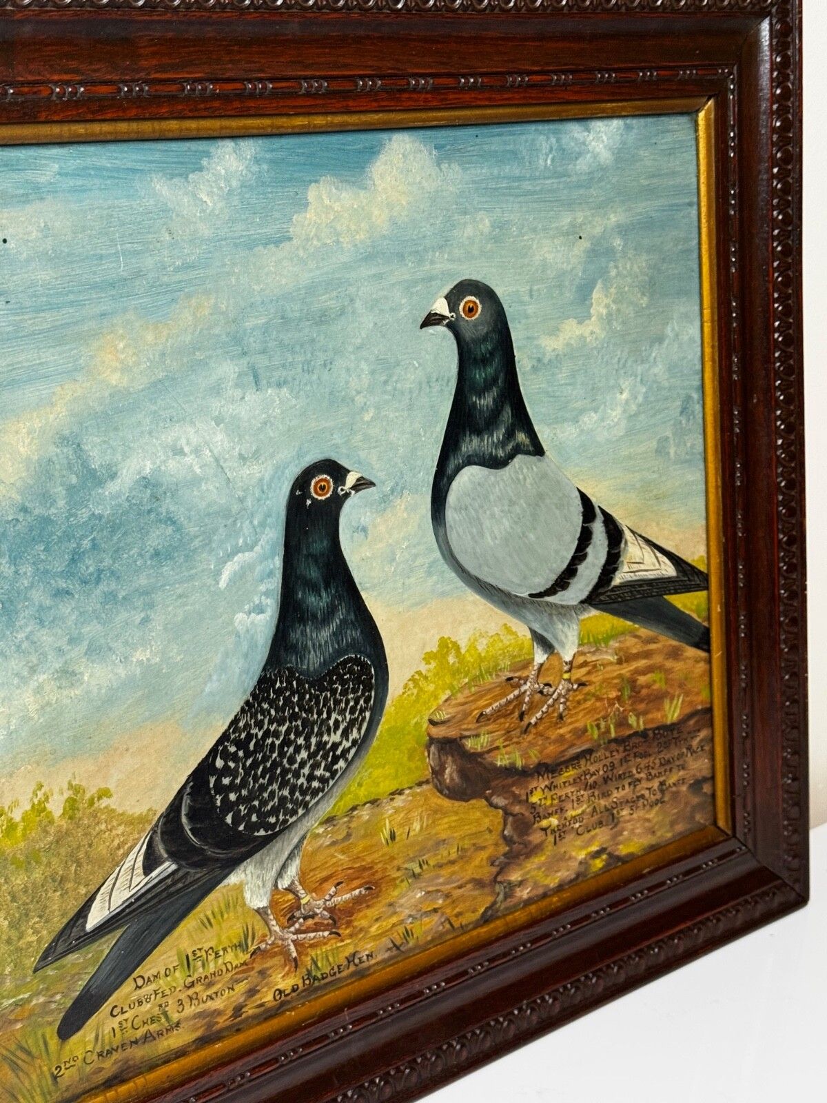 photo vinterior Old Badge Hen & Holley Brothers - Brits schilderij van een reisduif