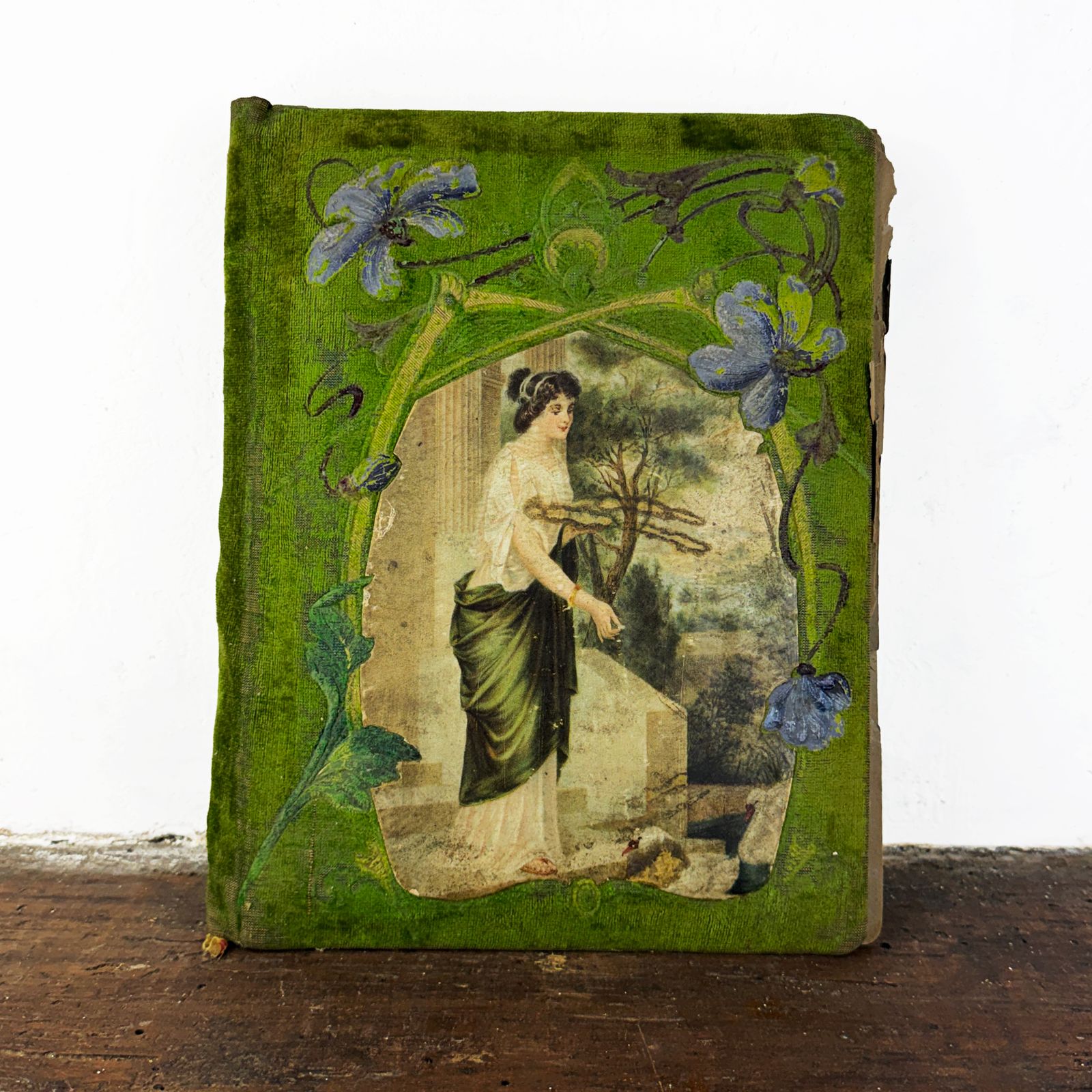 Frans Art Nouveau fotoalbum, groen fluwelen foto- en ansichtkaartalbum, Belle Époque geheugenboek, ca. 1900 photo furniture