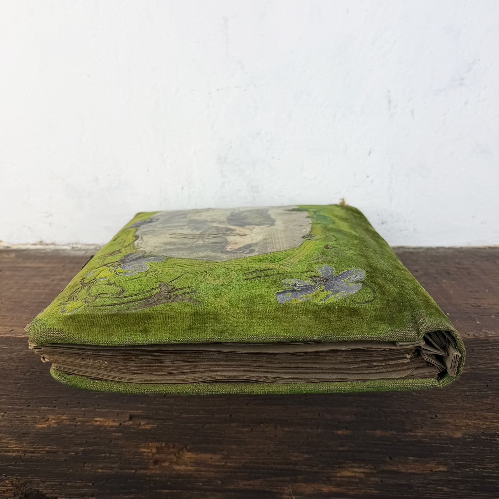 Woonaccessoires Frans Art Nouveau fotoalbum, groen fluwelen foto- en ansichtkaartalbum, Belle Époque geheugenboek, ca. 1900 photo