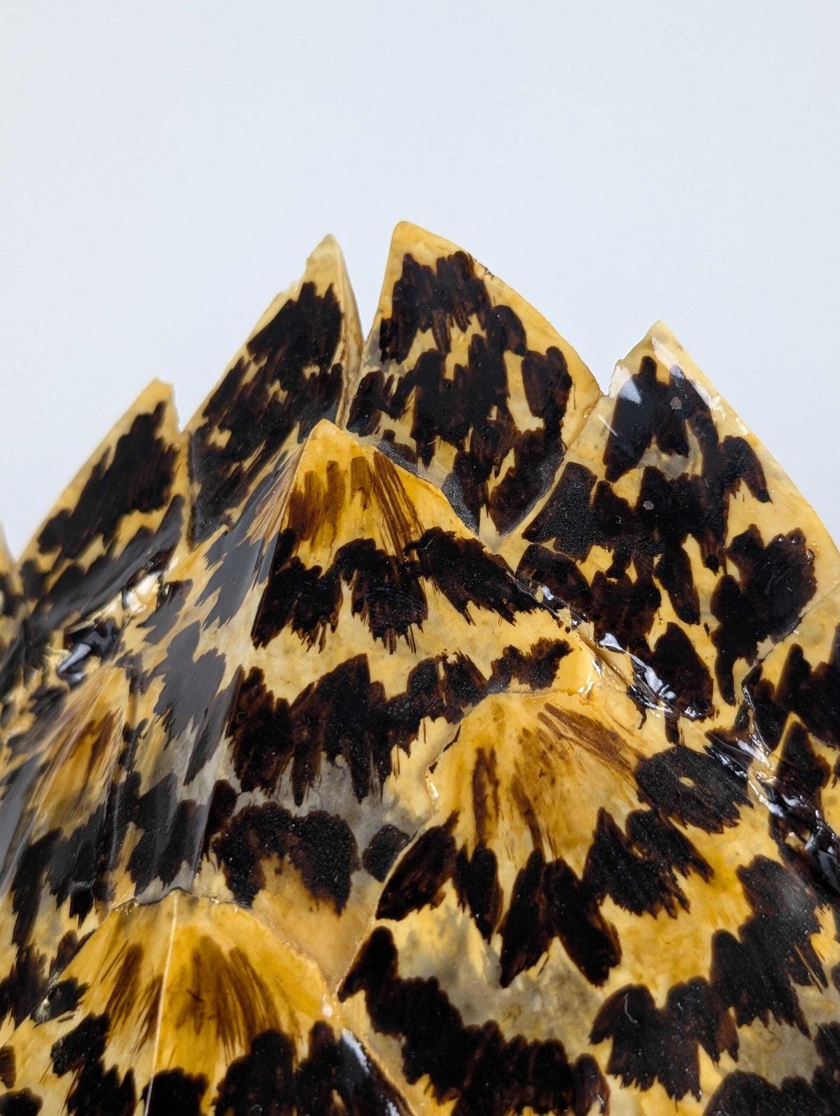 photo vinterior Turtle Shell Table Lamp In Resin, Maison Jansen, 1970s