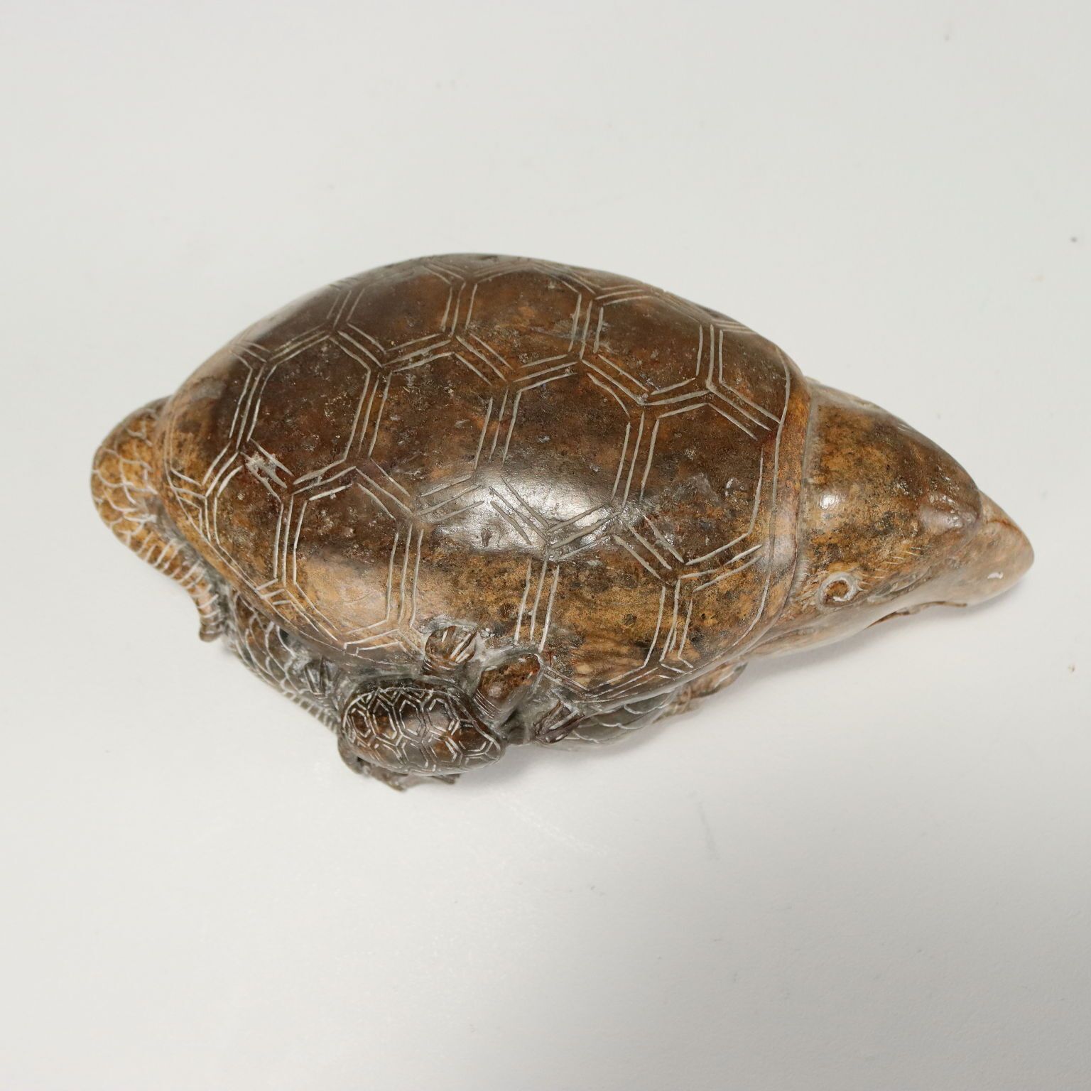 Groep drakenschildpadden, diverse stenen en afmetingen, 20e eeuw photo 230.0