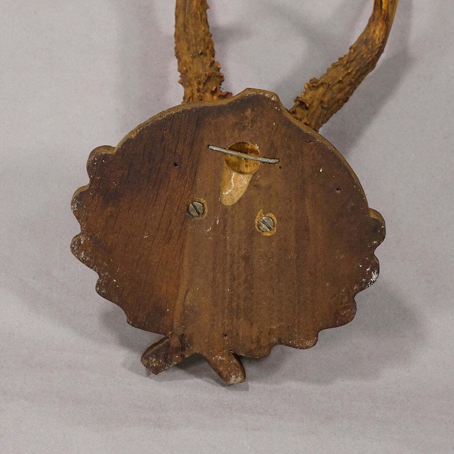 Antiek Edelhertgewei op Gesneden Plaquette, Zwart Woud, Duitsland ca. 1935 photo 161.0