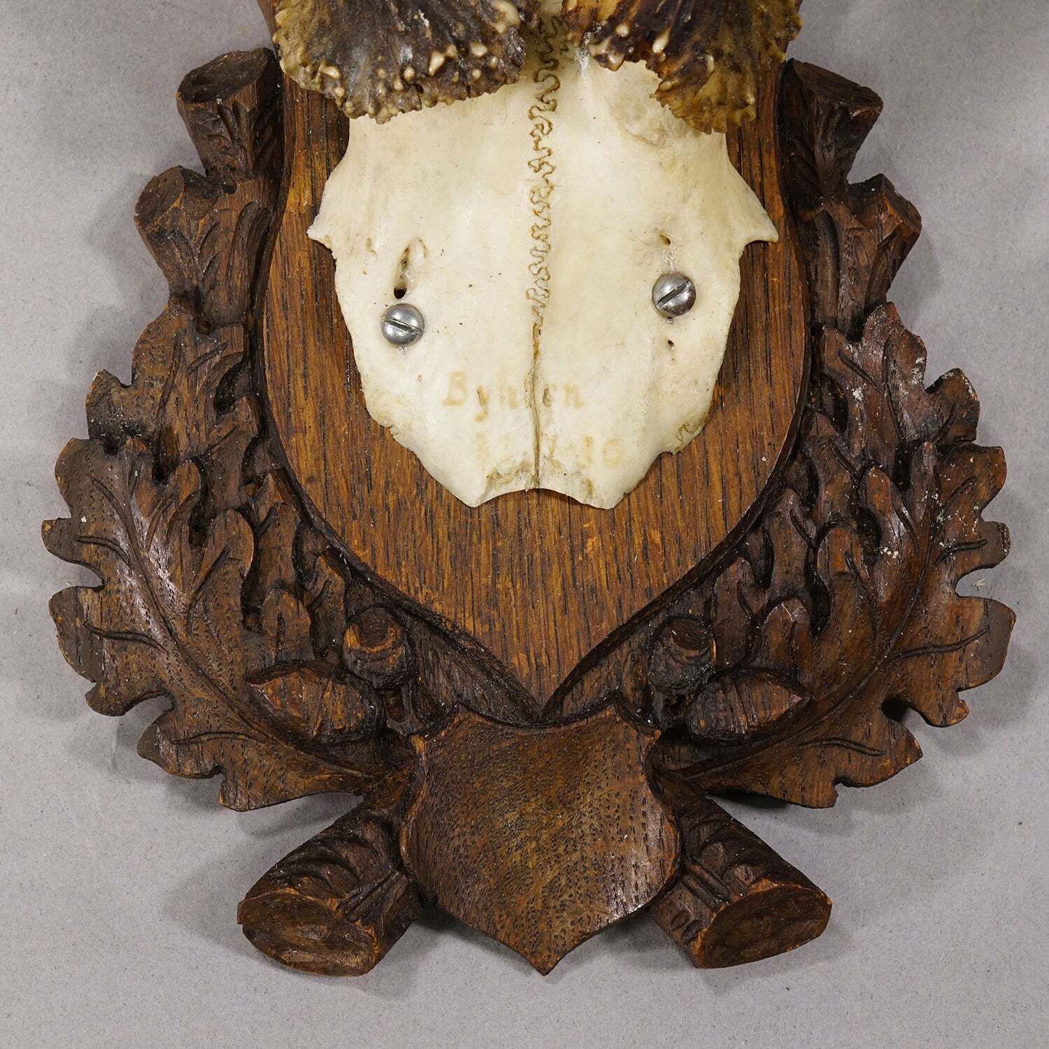 Black Forest Red Deer Trophy On Carved Plaque, Germany 1930s photo for sale