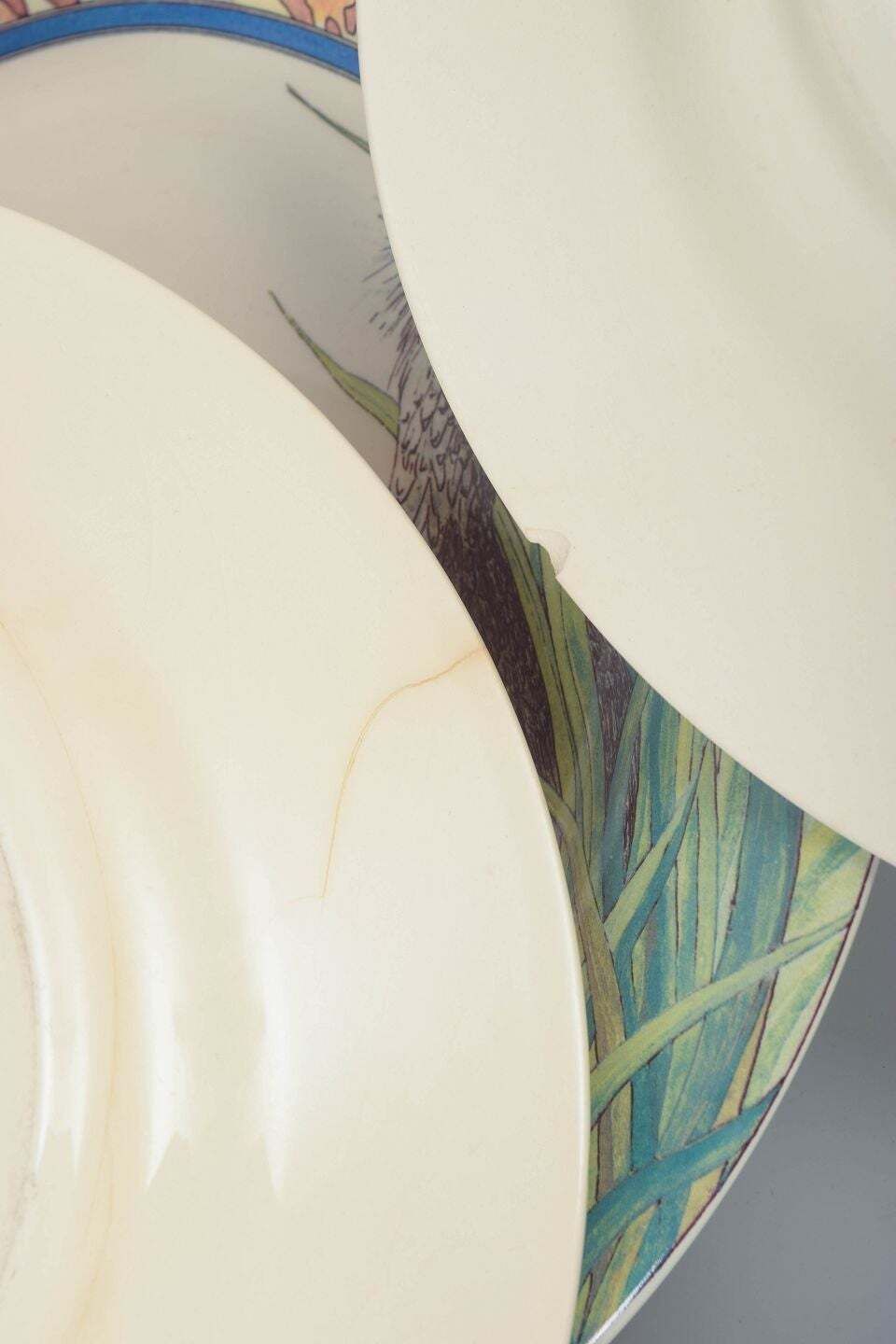 Gien, France. “Savane”, Set Of 6 Large Dinner Plates In Faience, 1980s. photo Home Decor