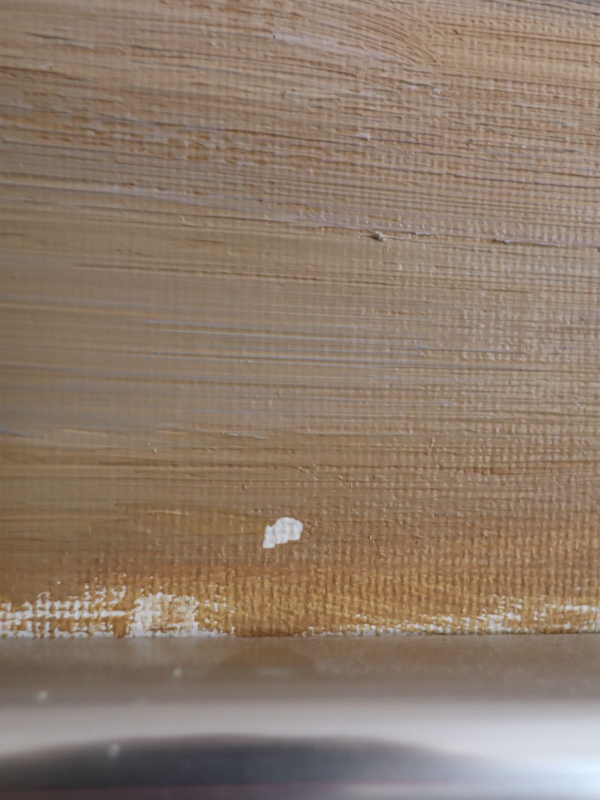 Distant Trees In Oil Onto Canvas photo 567.0