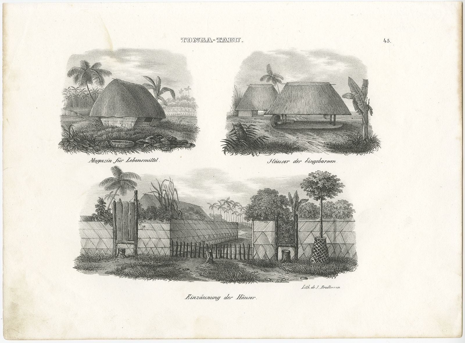 Antique Print Of Various Houses Of Tonga Tabu By Brodtmann (C.1836)