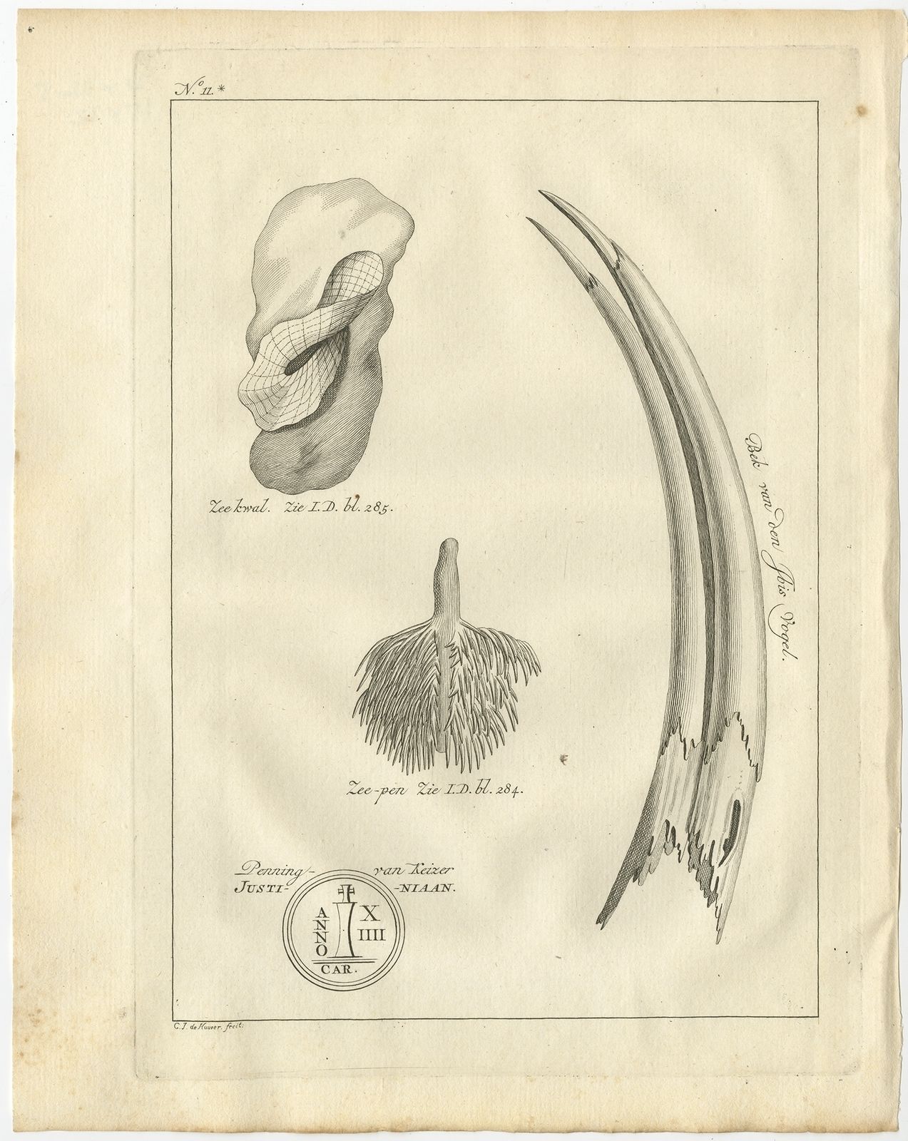 Antique Print Of The Bill Of An Ibis Bird By Shaw (1773)