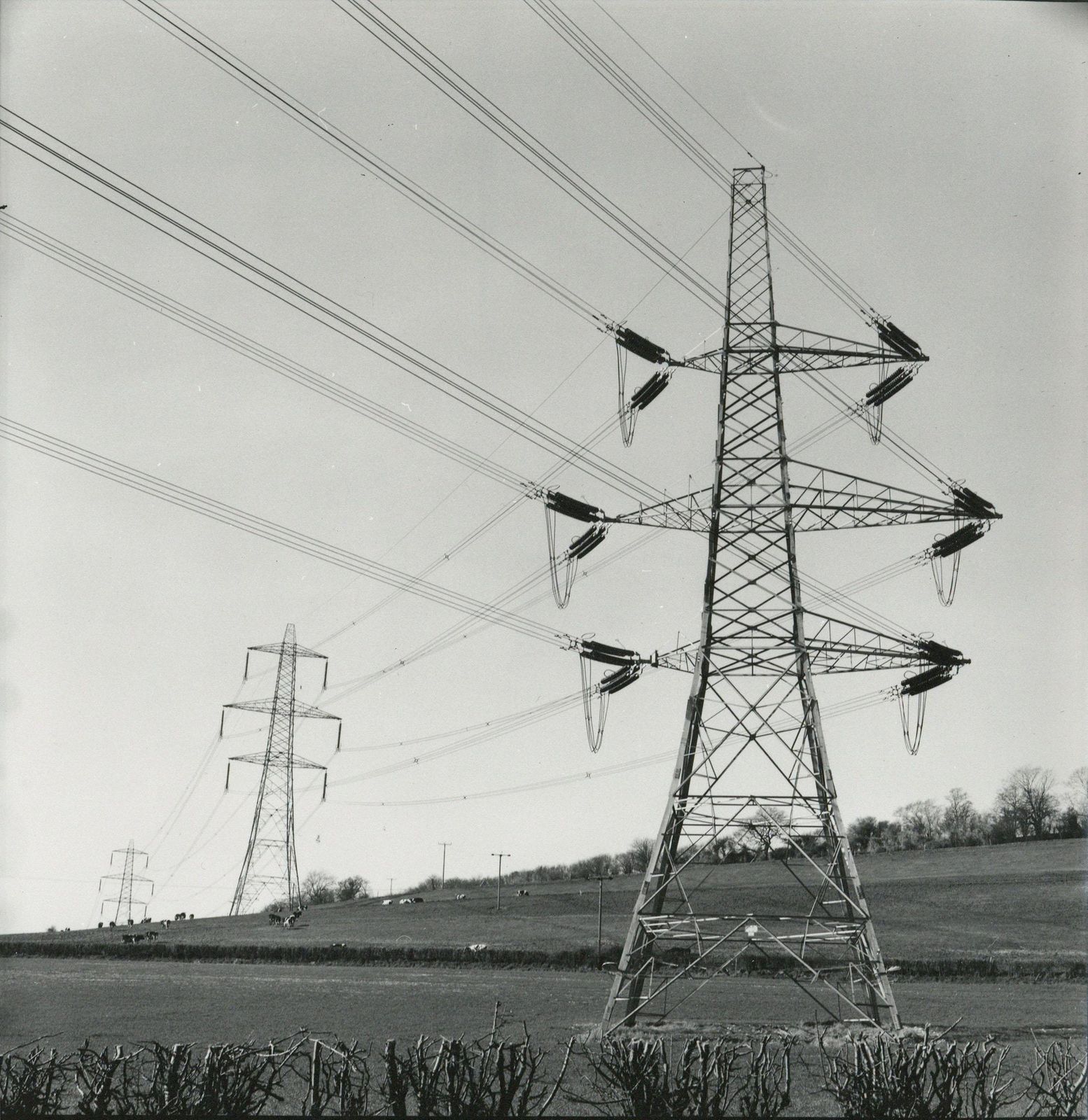 Rosemary Ellis Wires II Gelatin Silver Photograph For Book: Pipes And Wires 1975