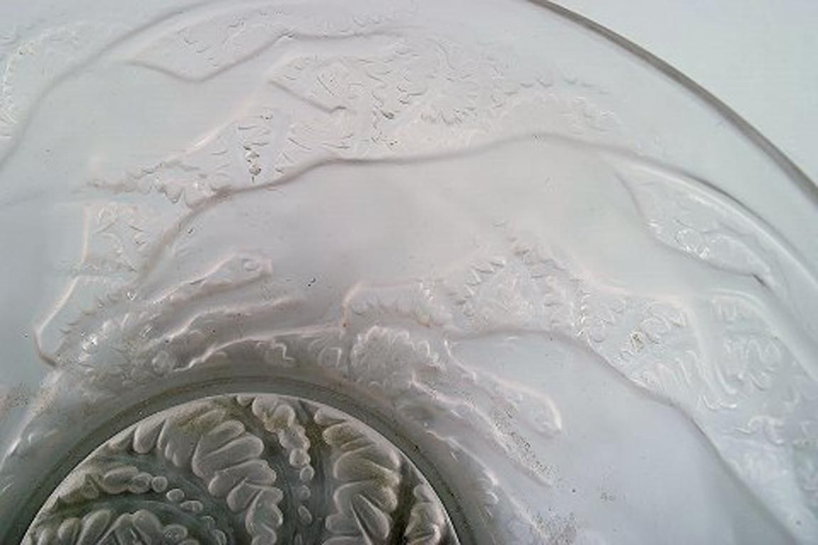Early And Rare René Lalique "Chiens" Art Deco Bowl In Art Glass, 1930s photo 1644.0