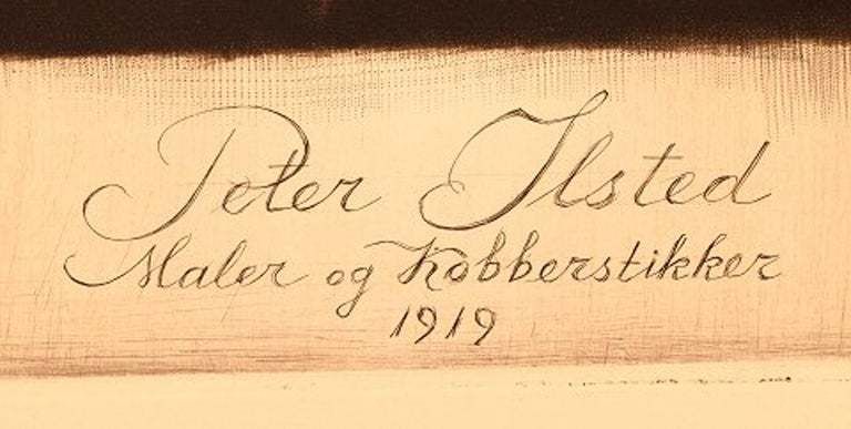 Gustav V. Blom, Portrait Of Peter Ilsted, 1919, Test Print photo 280.0