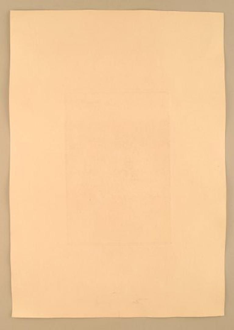 Gustav V. Blom, Portrait Of Peter Ilsted, 1919, Test Print photo buy