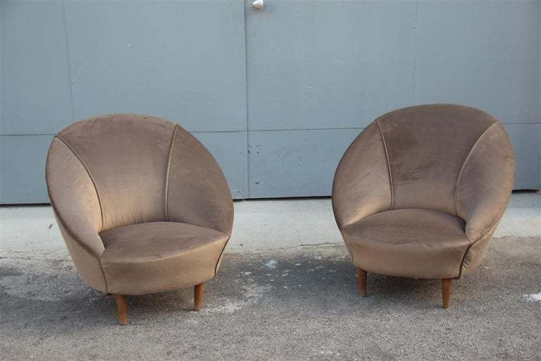 Federico Munari Midcentury Armchairs Bronze Velvet Curved Wooden Feet, 1950s photo for sale