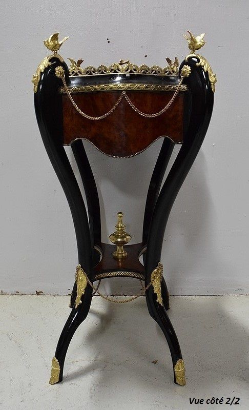 photo furniture Planter In Bramble Veneer And Bla Planter In Bramble Veneer And Blackened Wood, Napoleon III Period, 19th