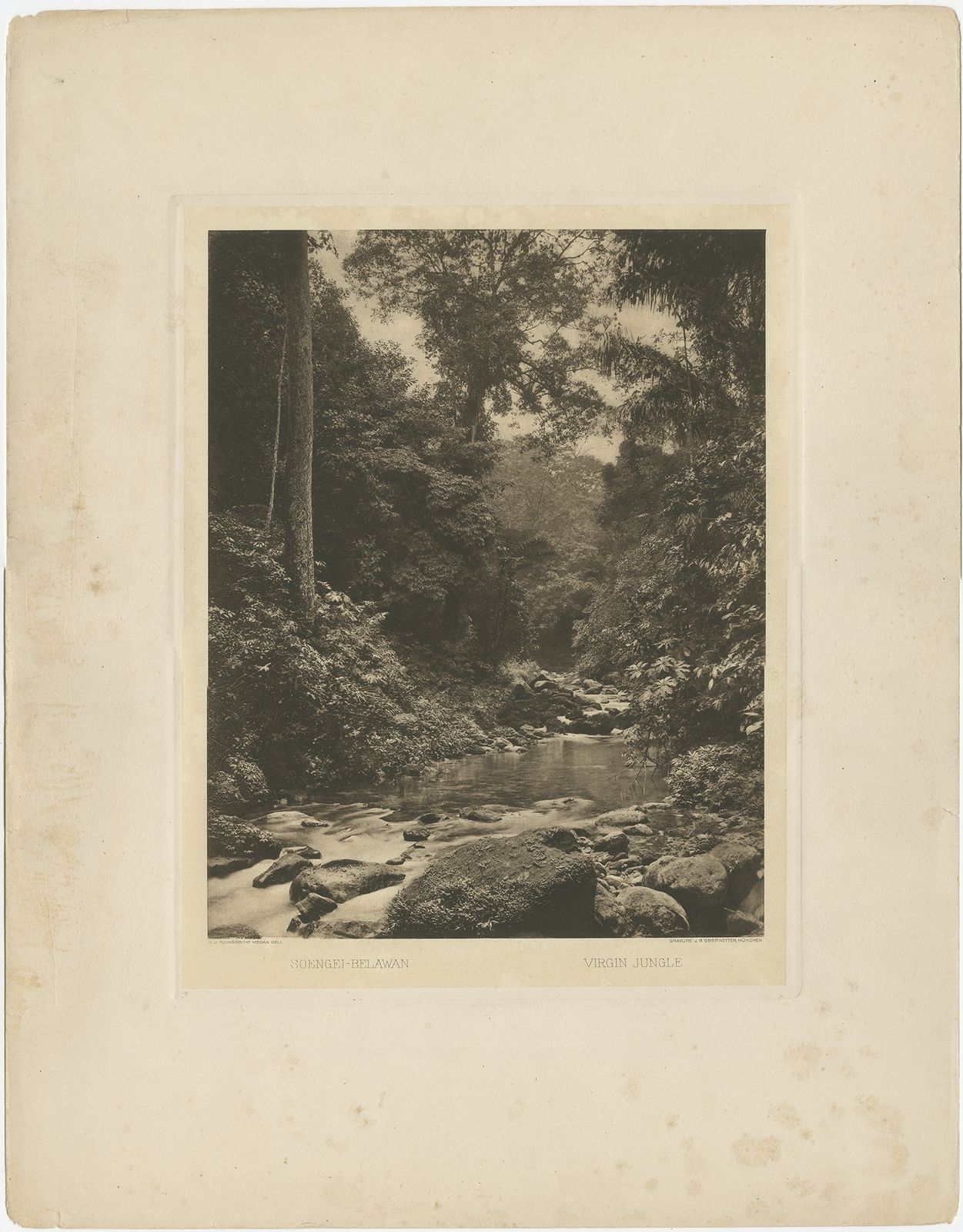 Antique Print Of The Jungle And Sungai Belawan River By Kleingrothe (C.1910)