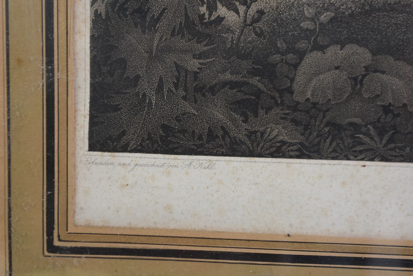 Young Olympia And Cupid Old Engraving Xi Xth Century photo vinterior