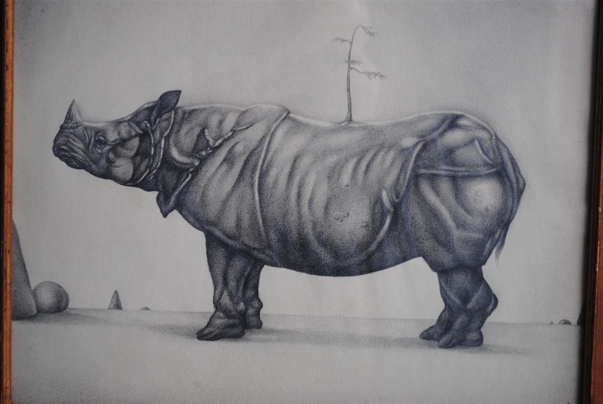 Animal Pencil Drawing On Framed Rhinoceros Paper photo furniture
