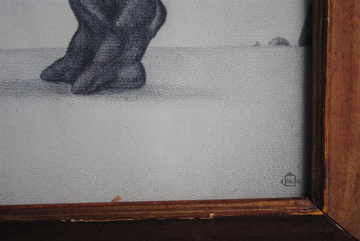 Animal Pencil Drawing On Framed Rhinoceros Paper photo 880.0