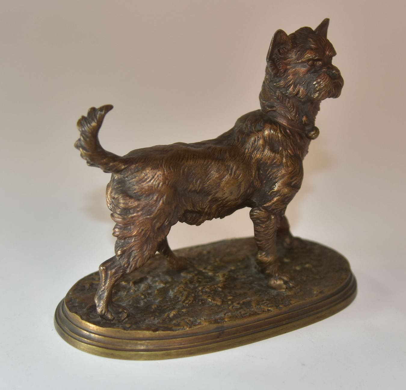 Companion Style Bronze Griffon Dog Medal P. J Mène Xi Xth Time photo buy