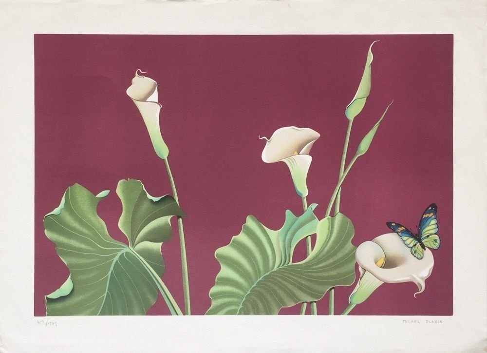 Michel Plaisir, Flowers And Butterfly, Lithograph