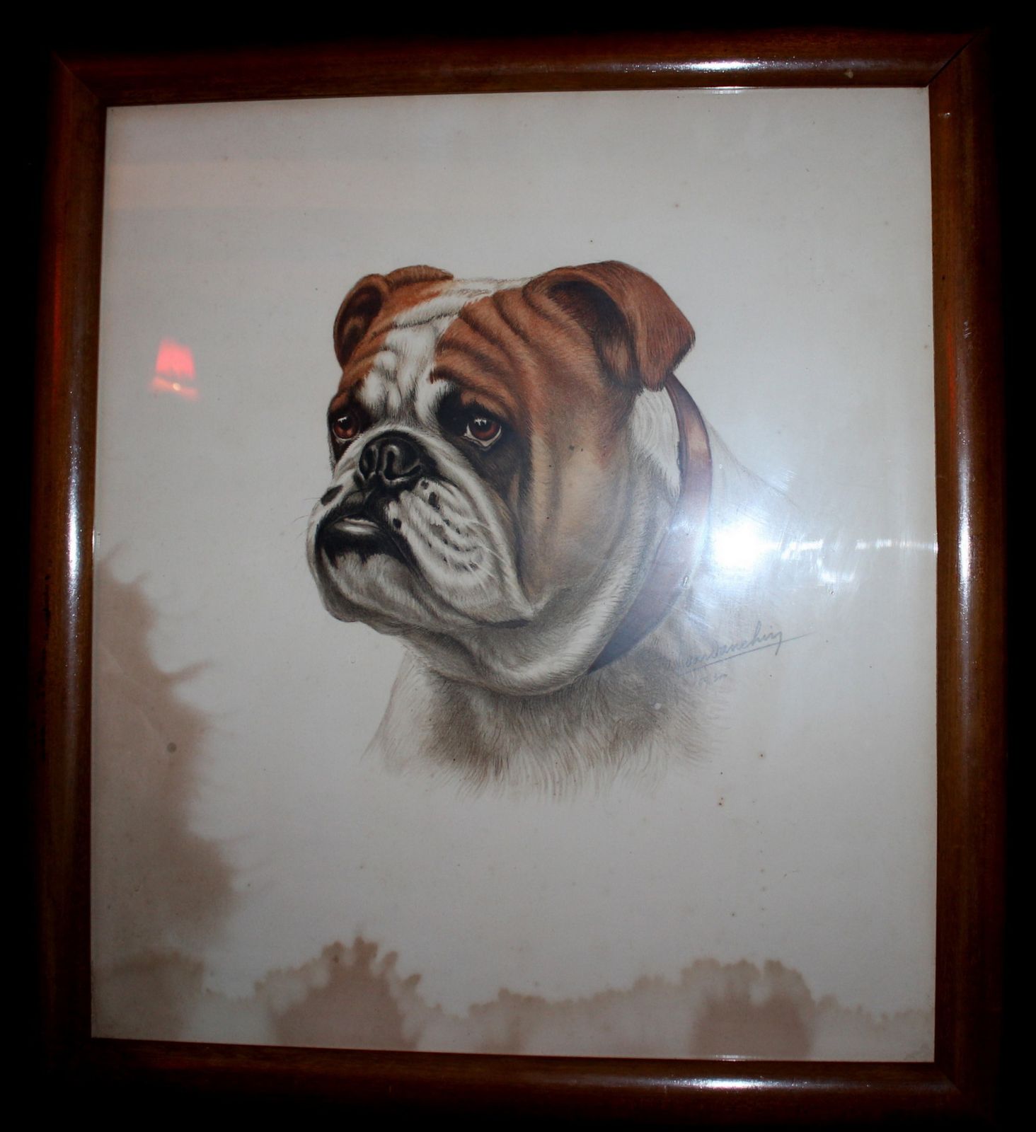 French Drawing  Bulldog Portrait Signed By Leon Danchin Number 59/300