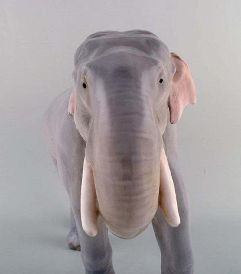Theodor Madsen For Royal Copenhagen, Rare Porcelain Figurine, Colossal Elephant photo buy