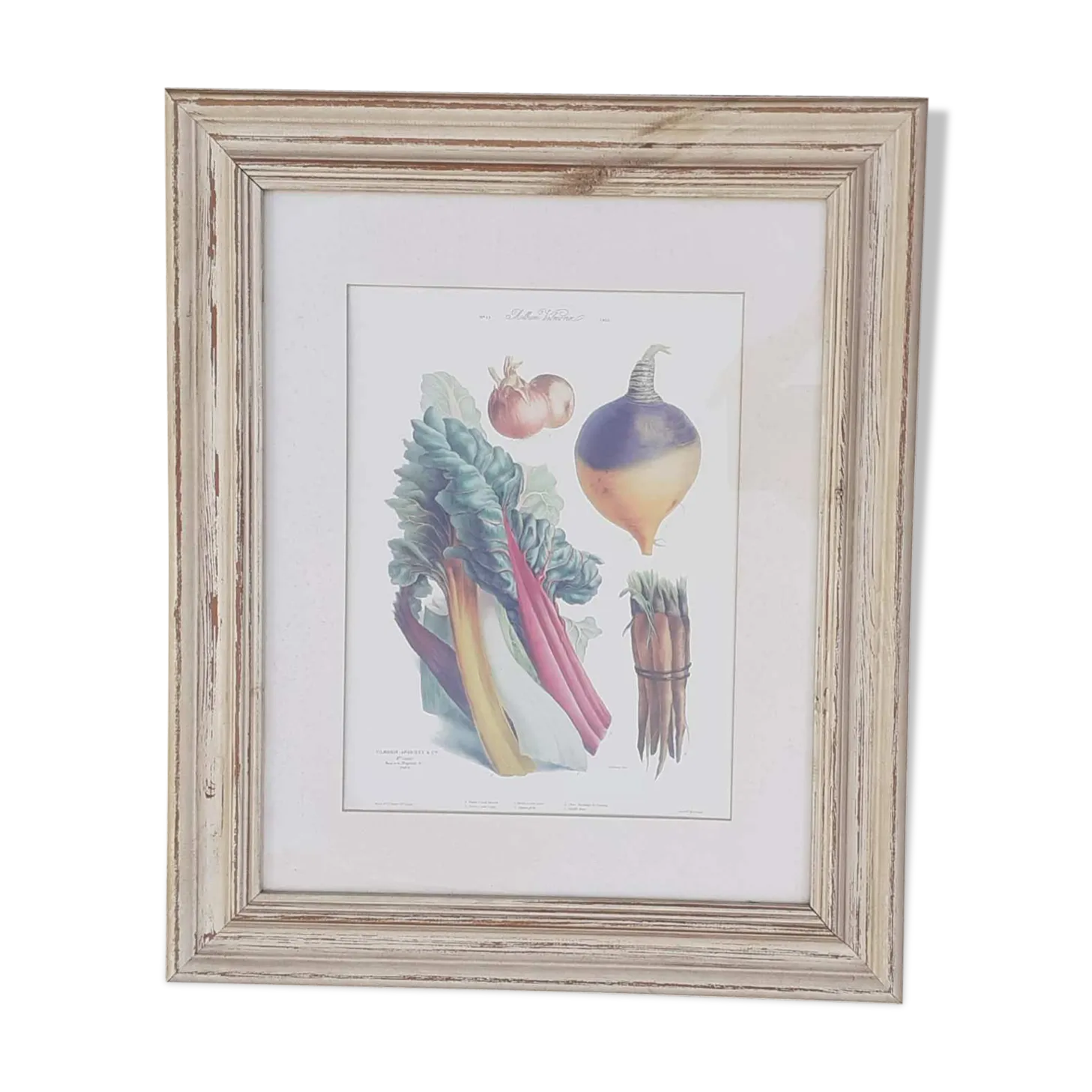 Framed Botanical Plank, Vegetables
