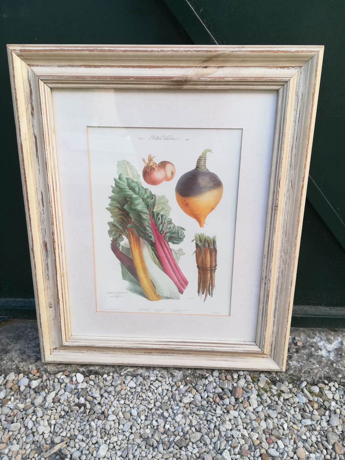 Framed Botanical Plank, Vegetables photo Art