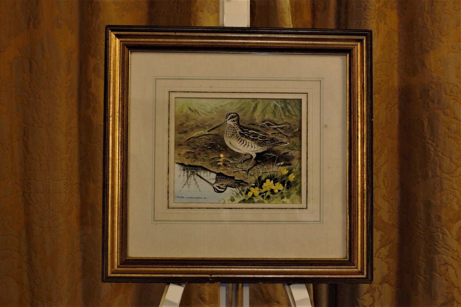 Watercolour Of A Snipe By Peter Currington photo furniture