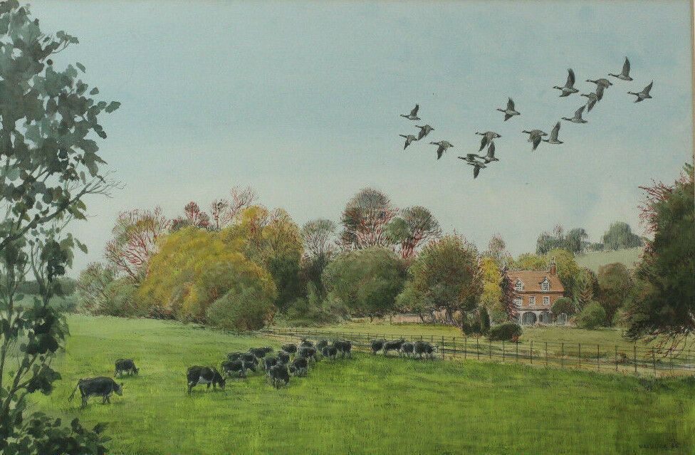 Ink And Watercolour By Desmond Walduck. "Cattle And Canadas At Goldingtons" photo furniture
