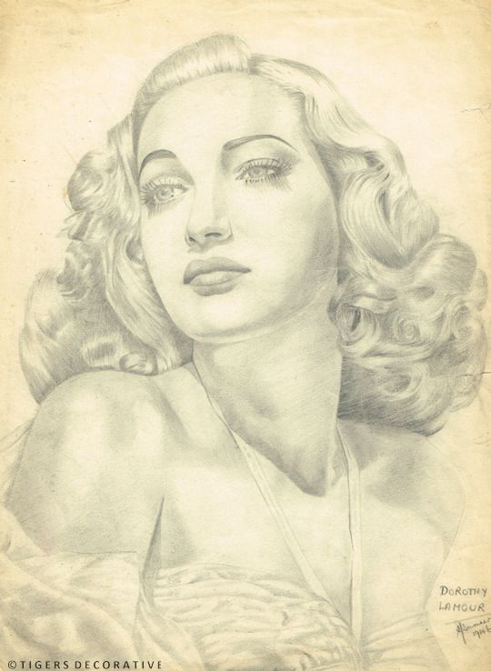 Hollywood Star's Framed Sketches photo vintage