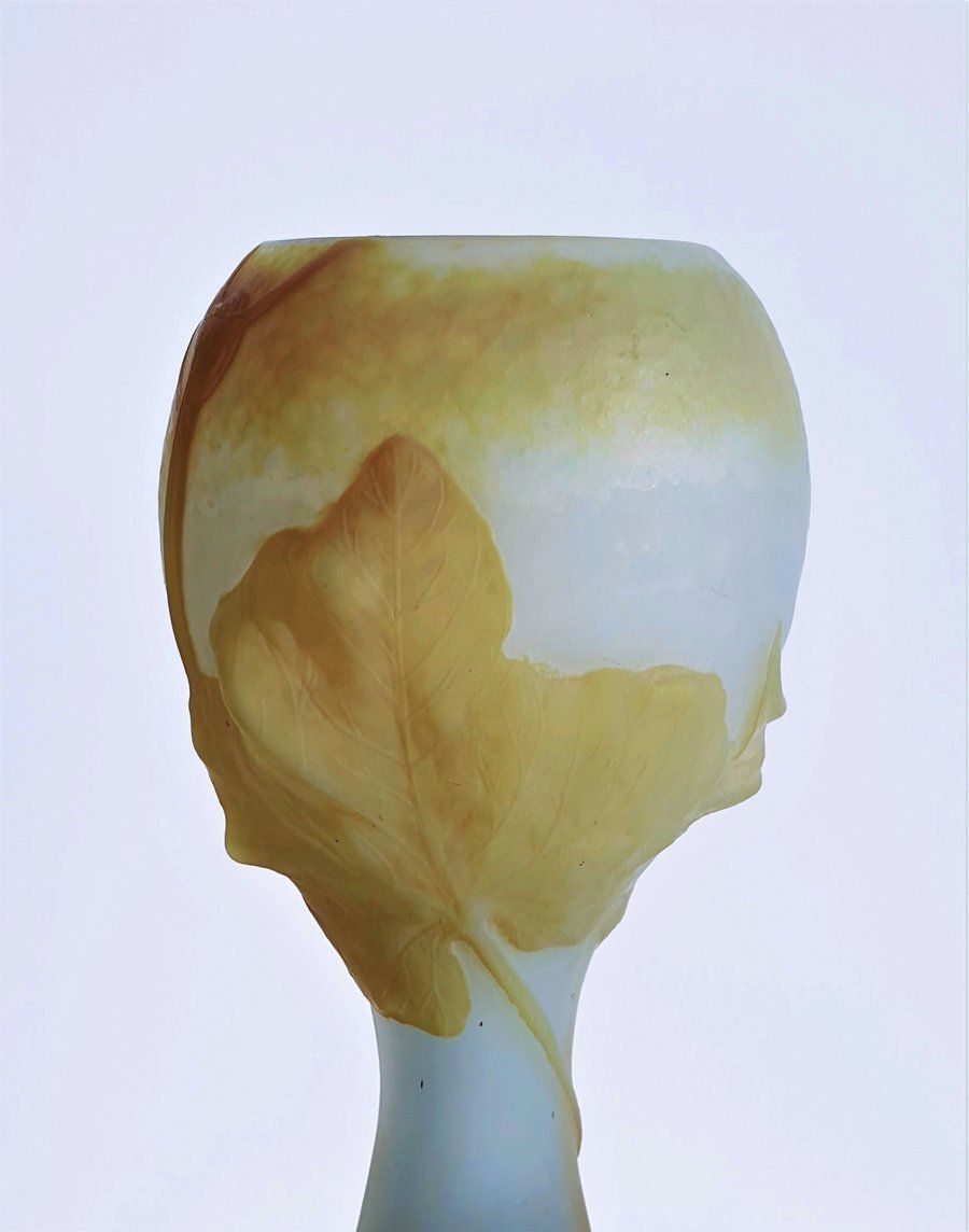 Daum 'Fleur De Coloquinte' French Art Nouveau Satin Cameo Glass Vase | C. 1900s, Antique photo vinterior