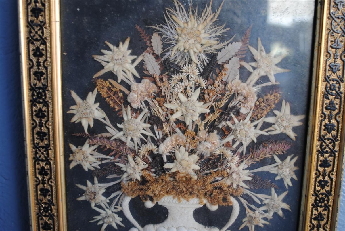 Art Souvenir Des Alpes Composition Of Dried Flowers Late 19th Century photo